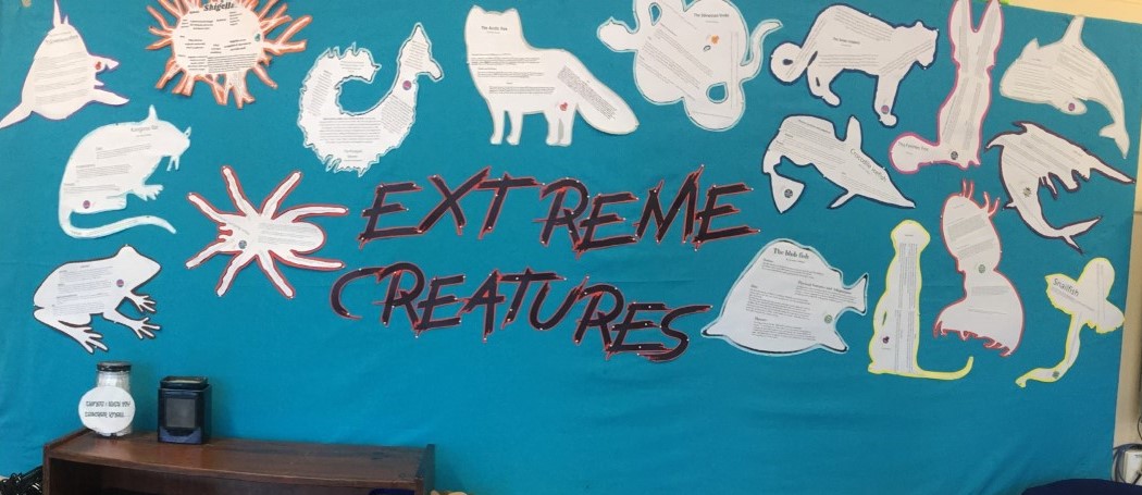 extreme creatures poster